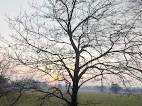Herbststimmung