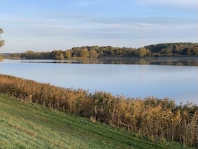 Blick über den Gartower See, davor Schilf und eine Uferwiese